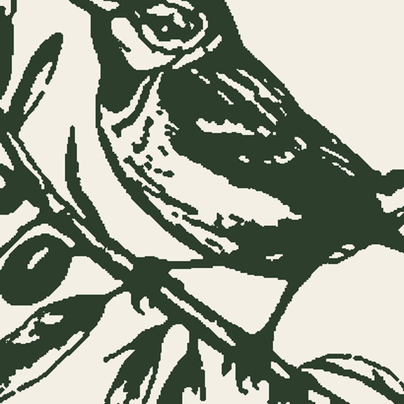 Fear Ye Not Sparrow and Olive Tee